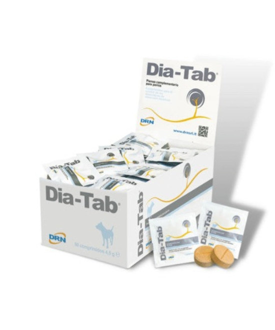 DIA-TAB 60 COMPRIMIDOS